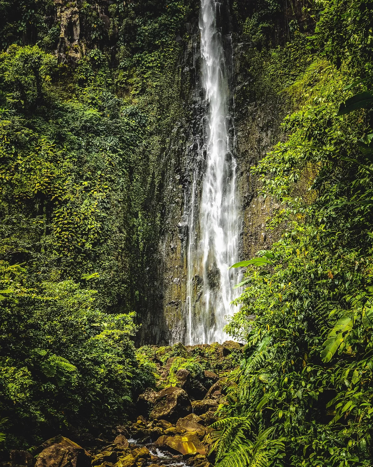 Journée sur-mesure Guadeloupe avec un guide natif : Insider Pack (français & anglais)