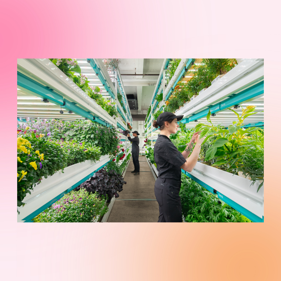 Vivez New York autrement - L'activité surprise personnalisée tout inclus : Mystery Pack